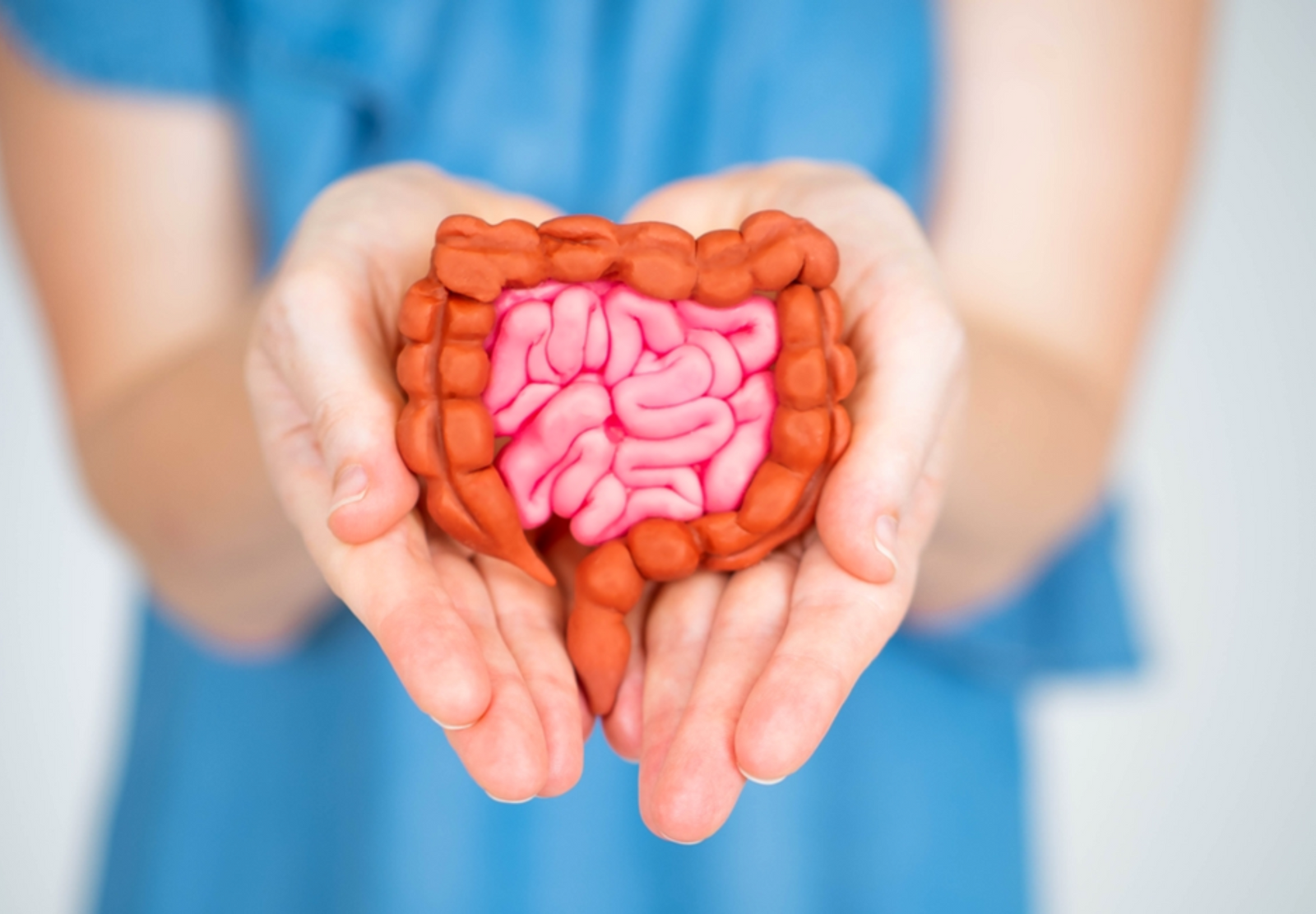 4 Steps to Support Your Gut Health by Dr. Ishani Patel