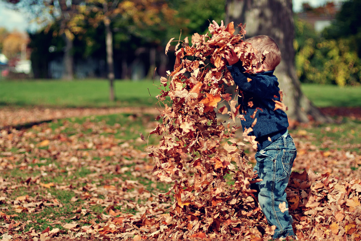 5 Nourishing Practices for the Fall Season