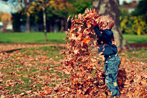 5 Nourishing Practices for the Fall Season