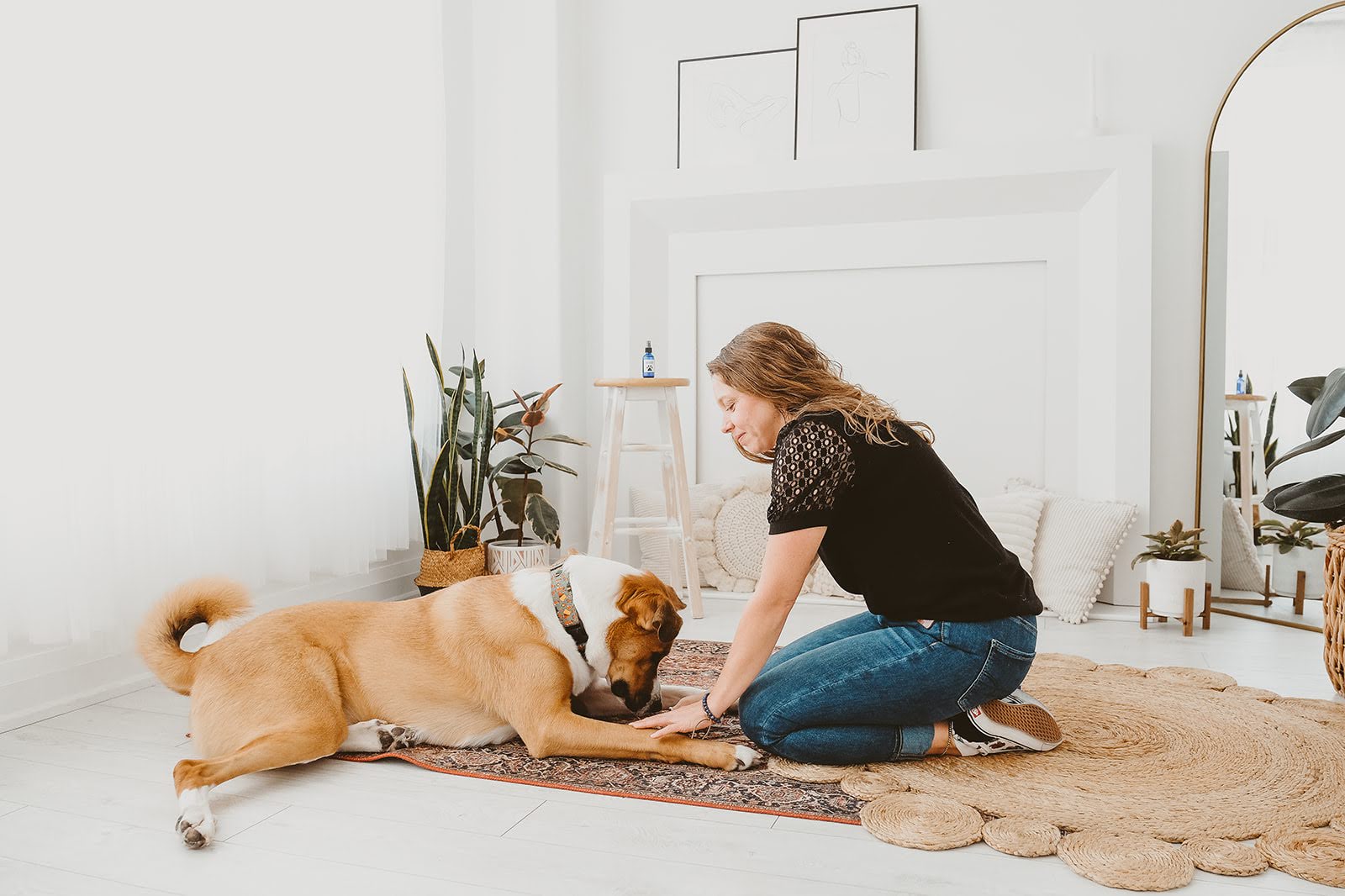 Sacred Companions: How Our Pets Help Us Realign with Our Soul Energy by Christine Barfield