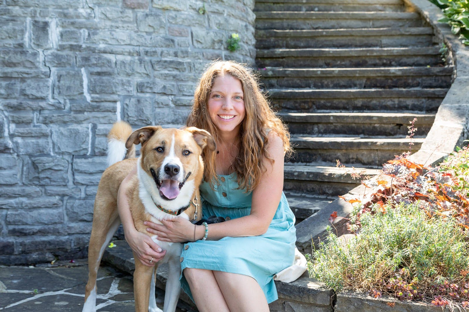 Your Dog isn’t meant to carry their past forever: What Our Pets Teach Us About letting go of old stories by Christine Barfield