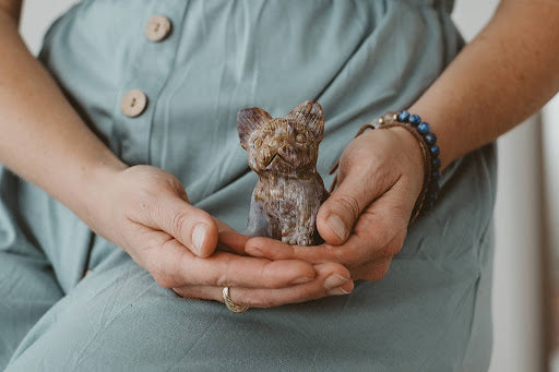 The Soul Path of Animals and How They Guide Us with Christine Barfield