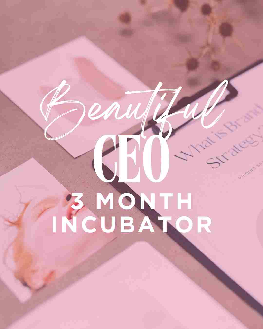 The Beautiful CEO Incubator - Members save $300