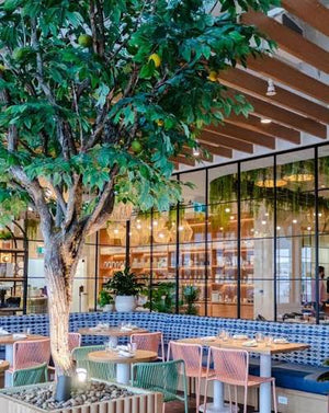 TORONTO The Elevation Brunch: A Morning of Connection & Inspiration (𝗠𝗲𝗺𝗯𝗲𝗿𝘀 𝘀𝗮𝘃𝗲 $𝟯𝟬)